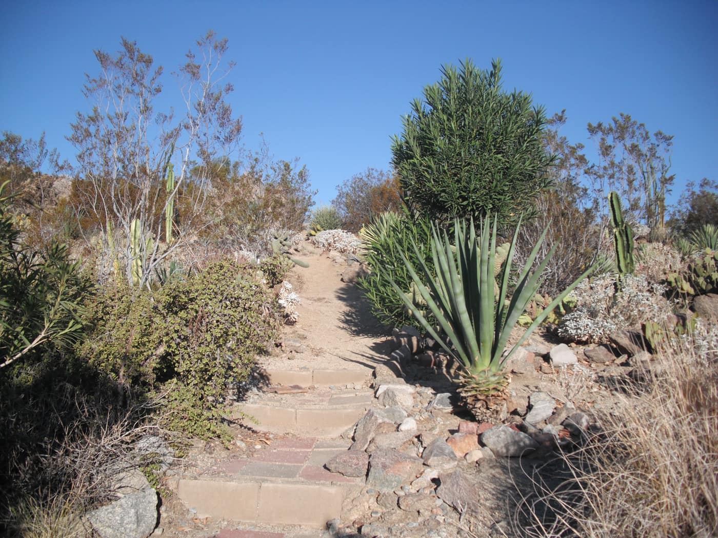 Garden walk at Silver Spur